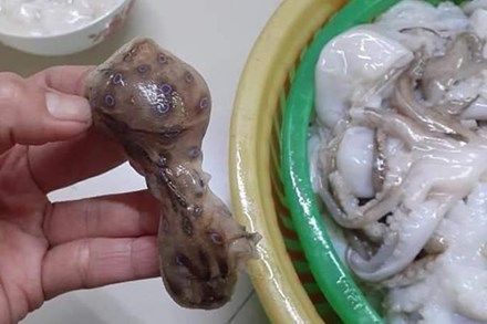 Người mua dứt khoát phải tránh, người bán càng nên thận trọng: Loại bạch tuộc độc gấp 50 lần rắn hổ mang, gây tử vong nhanh