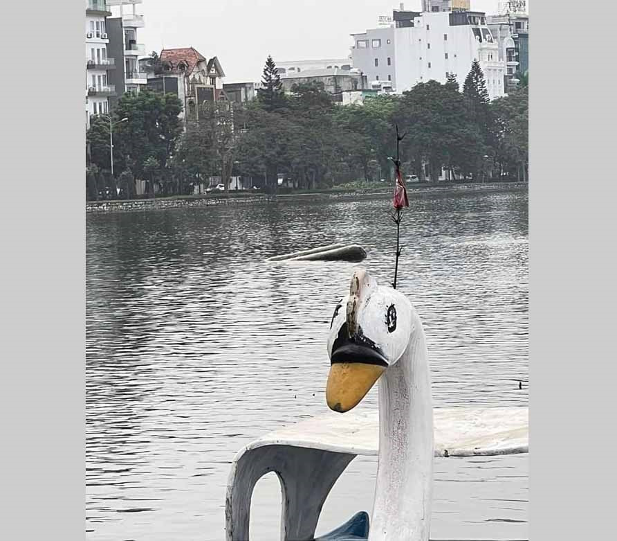 Hải Dương: Cùng mẹ đi chơi đạp vịt, thuyền lật khiến bé gái 7 tuổi tử vong-1