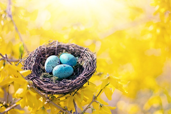 Người sinh vào 3 tháng Âm lịch này dũng cảm lại quyết đoán, chẳng sợ thất bại, tương lai phát tài-4