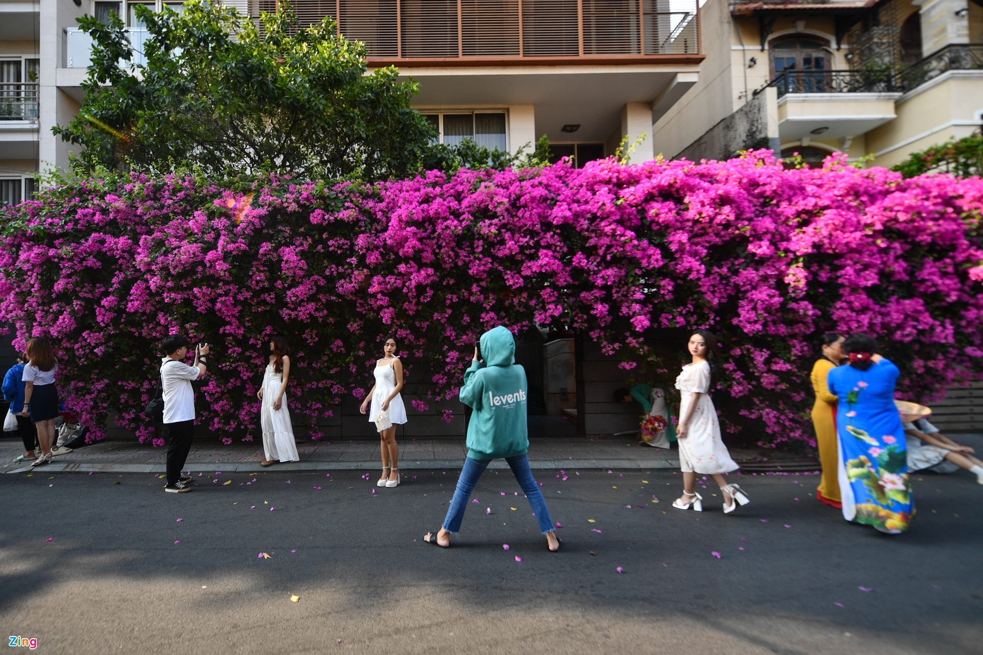 Đường hoa giấy nổi tiếng ở TP.HCM xuất hiện biển hạn chế chụp hình-4