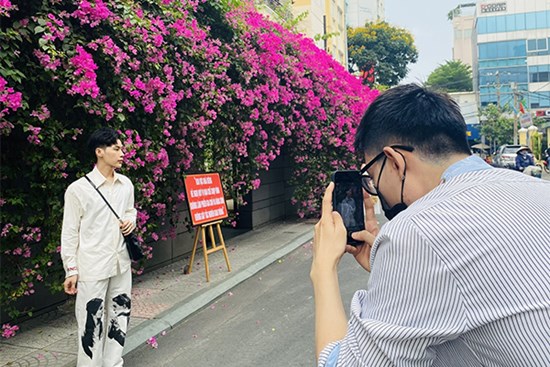 Đường hoa giấy nổi tiếng ở TP.HCM xuất hiện biển 'hạn chế chụp hình'