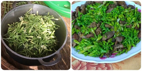 Hoa đu đủ đực xào có tác dụng gì?-1