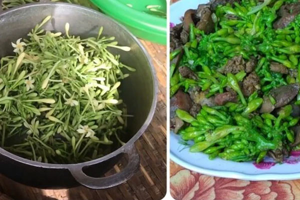 Uống nước sắc lá, hoa đu đủ đực có trị được ung thư?-2