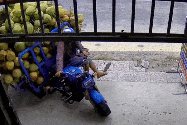 Xe chở dừa gặp nạn, người dân lao vào giải cứu