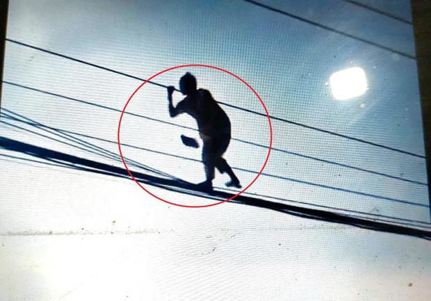 Giải cứu cô gái diễn xiếc trên... đường dây cáp quang-1