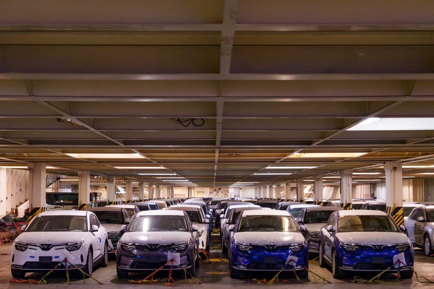 Vinfast xuất khẩu thêm 1.879 xe VF 8 tới Bắc Mỹ-7