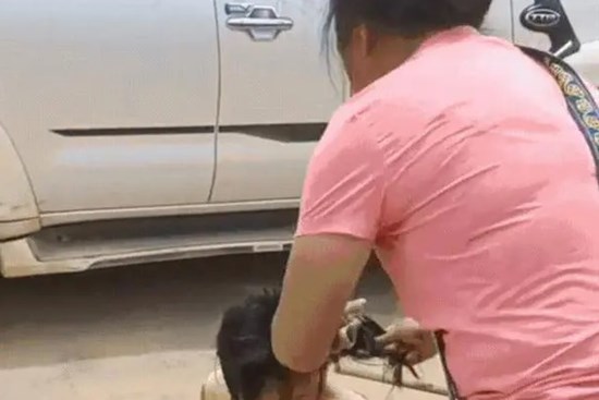 Mẹ lôi xềnh xệch con ra giữa phố, cắt tóc thị uy để con biết nghe lời: Dạy dỗ chưa thấy, chỉ khiến con tổn thương tinh thần cả đời