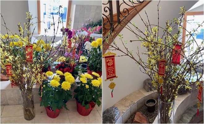 Sau thừa nhận rớt đài và dính nợ, vị tỷ phú từng dính lùm xùm trong tình yêu với Ngọc Trinh khoe không gian sống bình yên-10