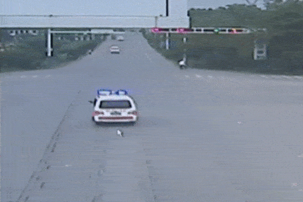 Clip: Vượt đèn đỏ, xe cứu thương bị xe đầu kéo tông kinh hoàng