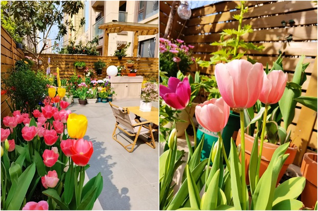 Người phụ nữ 40 tuổi tự tay cải tạo khu vườn 40m² khiến ai nhìn cũng mê-1