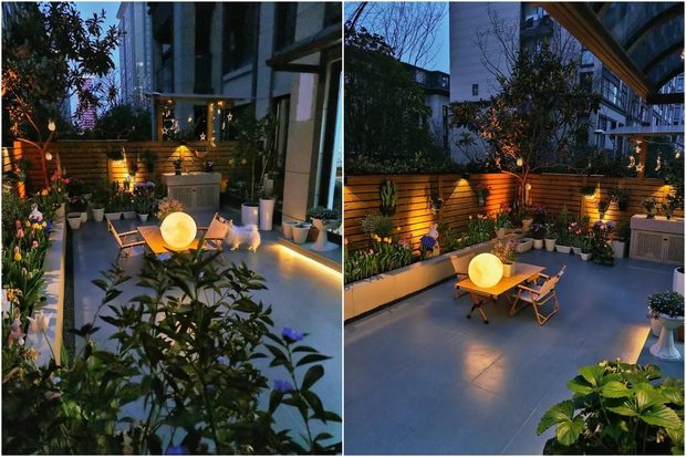 Người phụ nữ 40 tuổi tự tay cải tạo khu vườn 40m² khiến ai nhìn cũng mê-7