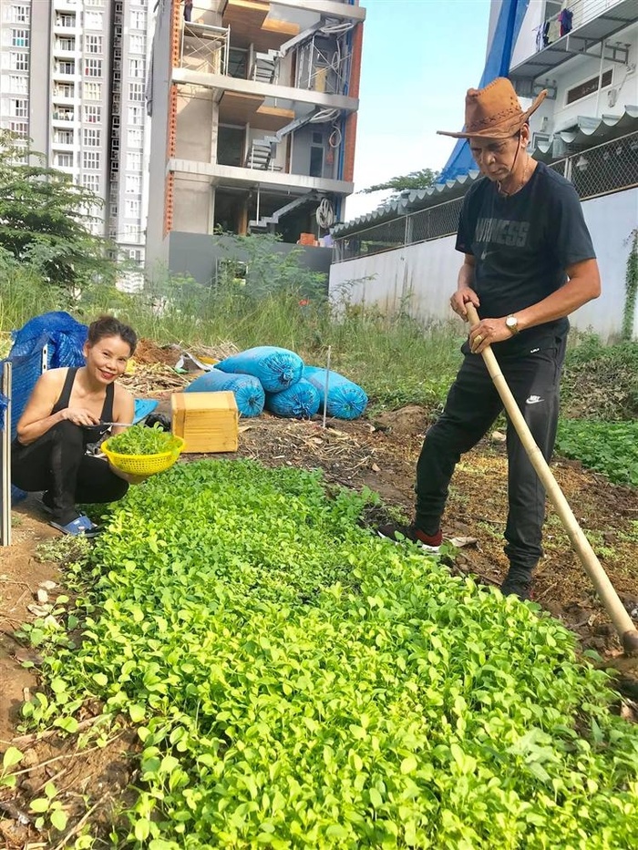 Biệt thự 20 tỷ giữa phố của bố mẹ Hồ Ngọc Hà, nơi nuôi dưỡng cả Subeo, Lisa và Lion-12