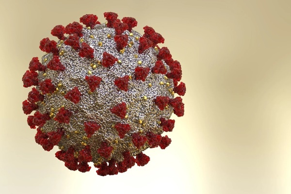 Đặc điểm của biến thể phụ Covid-19 mới-2