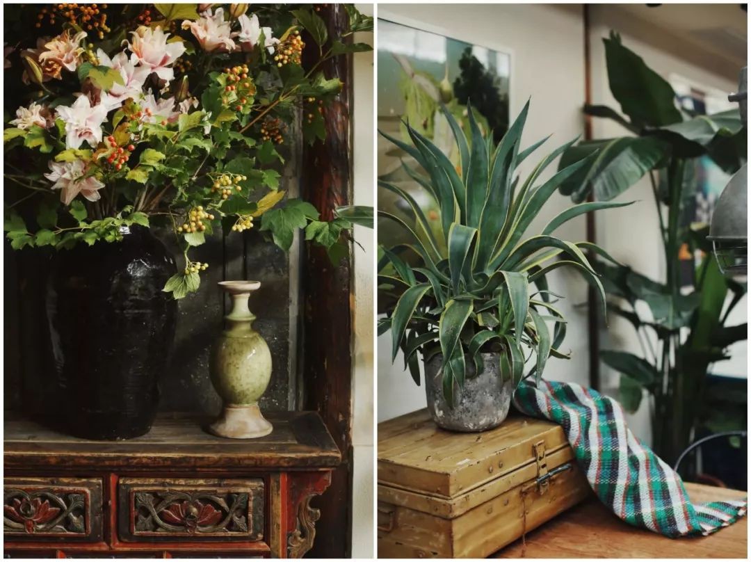 Cô gái trẻ cải tạo đất, mua giống hoa, biến sân nhà thành khu vườn đẹp lung linh-2