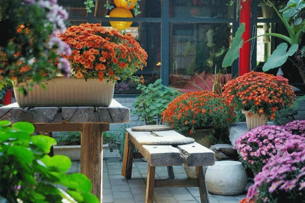 Con trai xây tặng bố mẹ căn nhà chìm trong thảm thực vật lạc giữa làng quê thanh bình-14