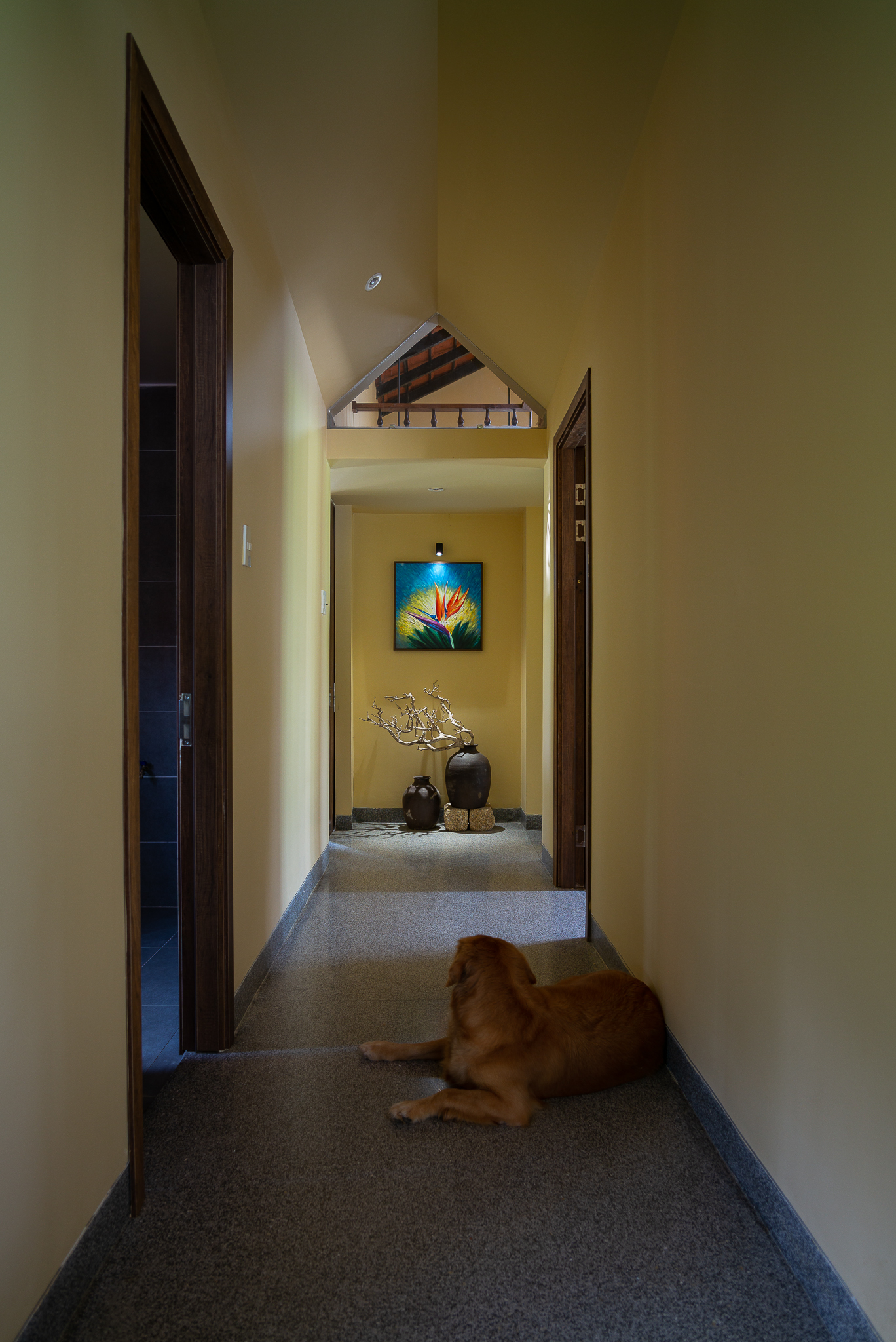 Con trai xây tặng bố mẹ căn nhà chìm trong thảm thực vật lạc giữa làng quê thanh bình-5