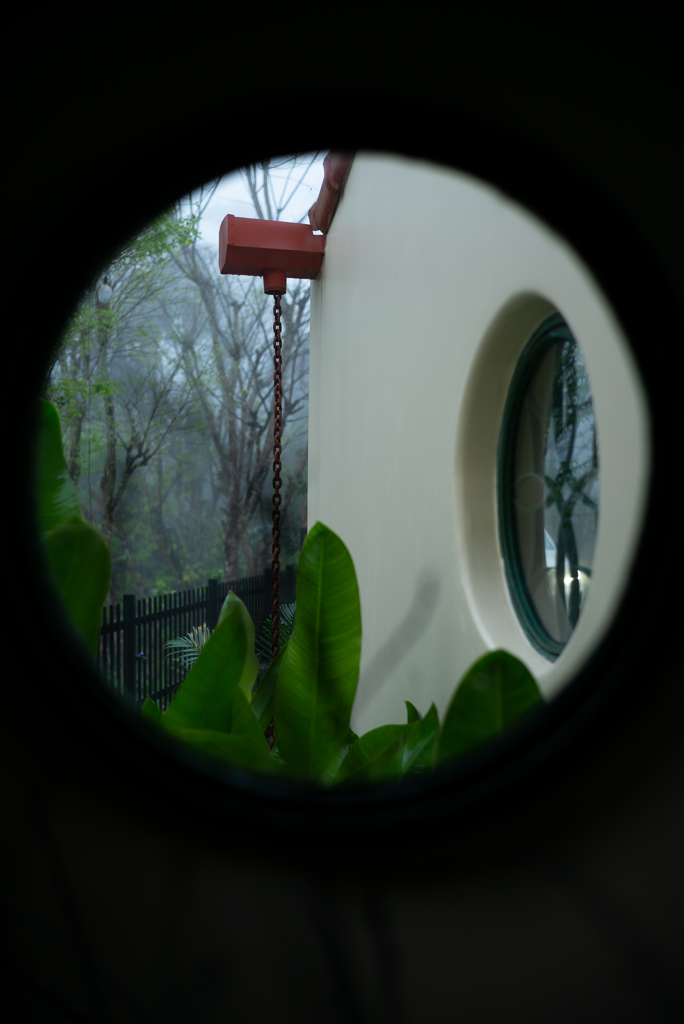 Con trai xây tặng bố mẹ căn nhà chìm trong thảm thực vật lạc giữa làng quê thanh bình-9