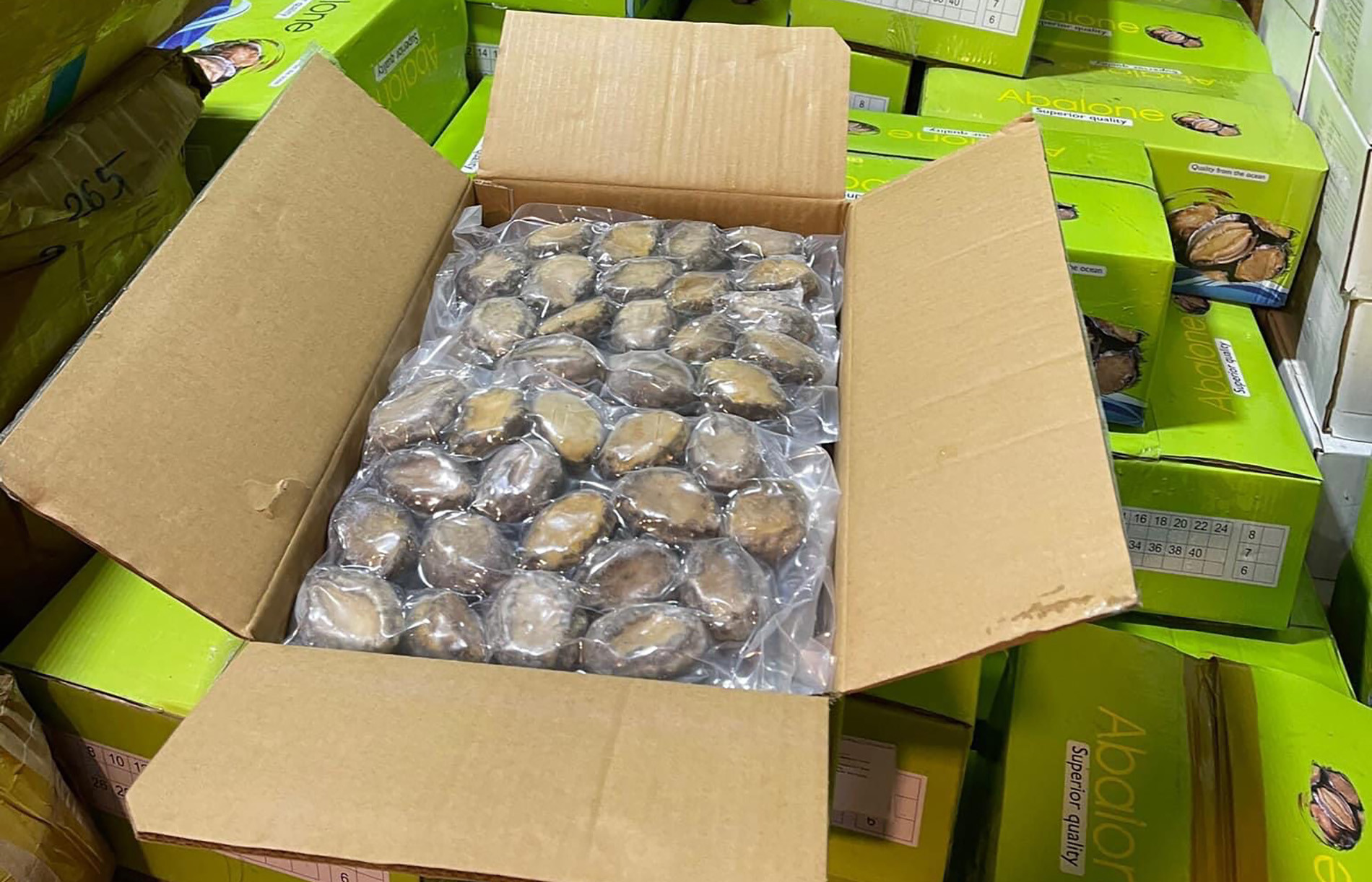 Chợ mạng’ rao bán loại hải sản quý tộc giá siêu rẻ-1