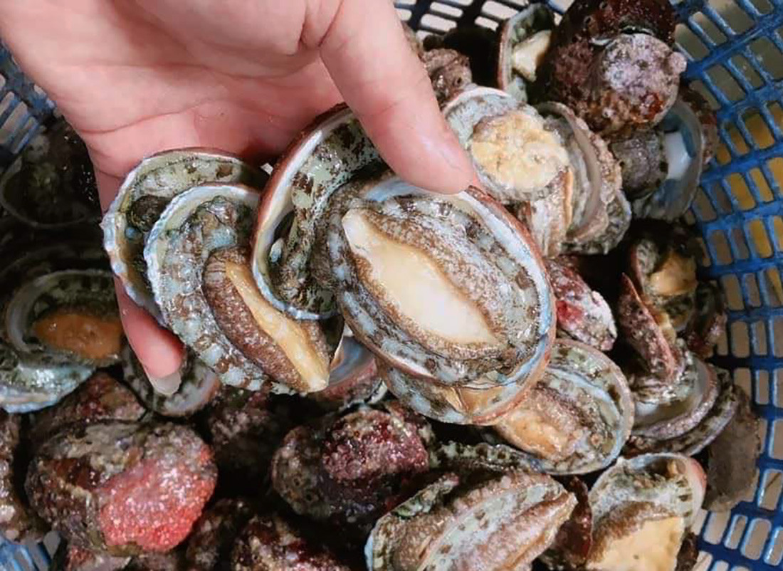 Chợ mạng’ rao bán loại hải sản quý tộc giá siêu rẻ-2