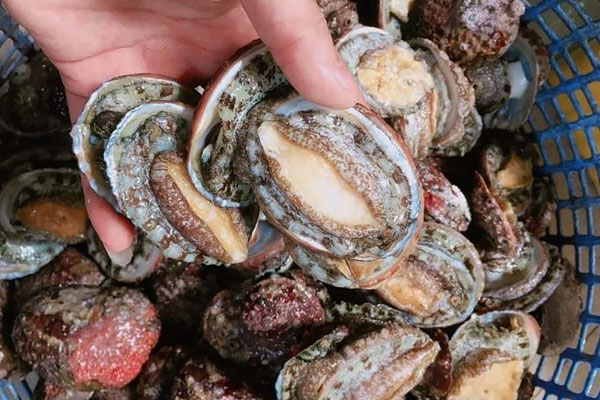 Chưa bao giờ giá cua, ghẹ cao như dịp lễ này!-9