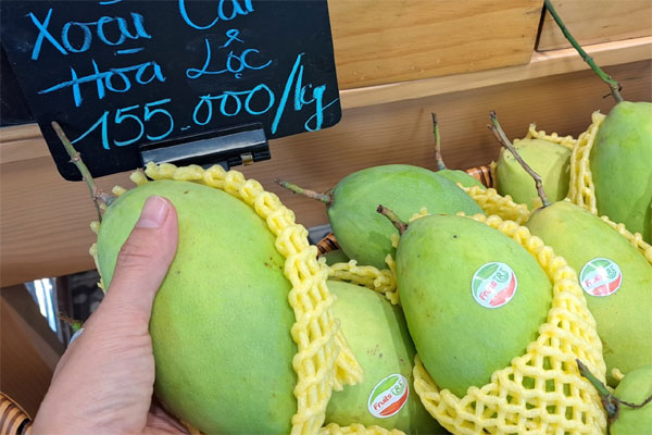 Xoài dội chợ: Hàng Nhật 2,5 triệu một quả, đặc sản Việt thơm ngon giá rẻ bèo-3