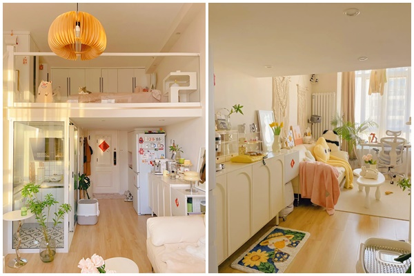 Ngôi nhà Dế Mèn với không gian mát lành nhờ cây xanh, vườn rau sạch trên mái-18