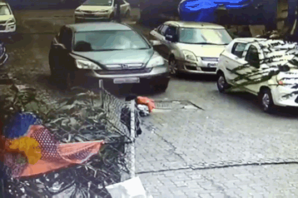 Clip: Rơi khỏi ban công tầng 3, bé gái 4 tuổi sống sót thần kỳ-1