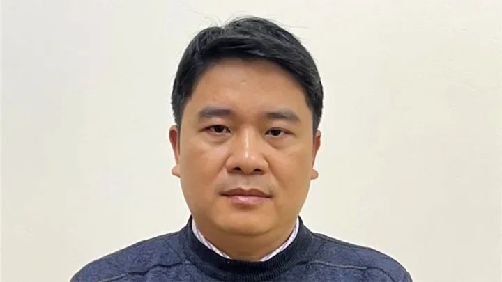 Vụ chuyến bay giải cứu: 18 bị can bị truy tố khung cao nhất tử hình-2