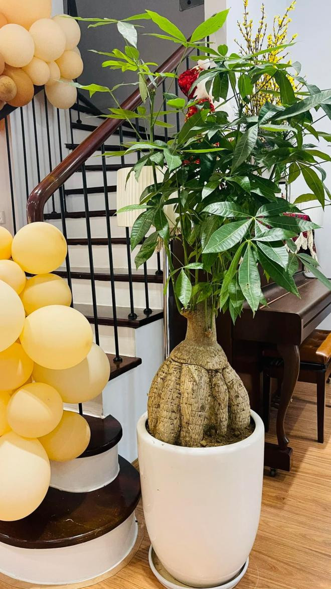 Sau mối tình với người cũ của Hà Hồ, ca sĩ từng bị liệt dây thần kinh số 7 thừa nhận mấy năm ăn chay tụng kinh khoe góc thành tâm-2