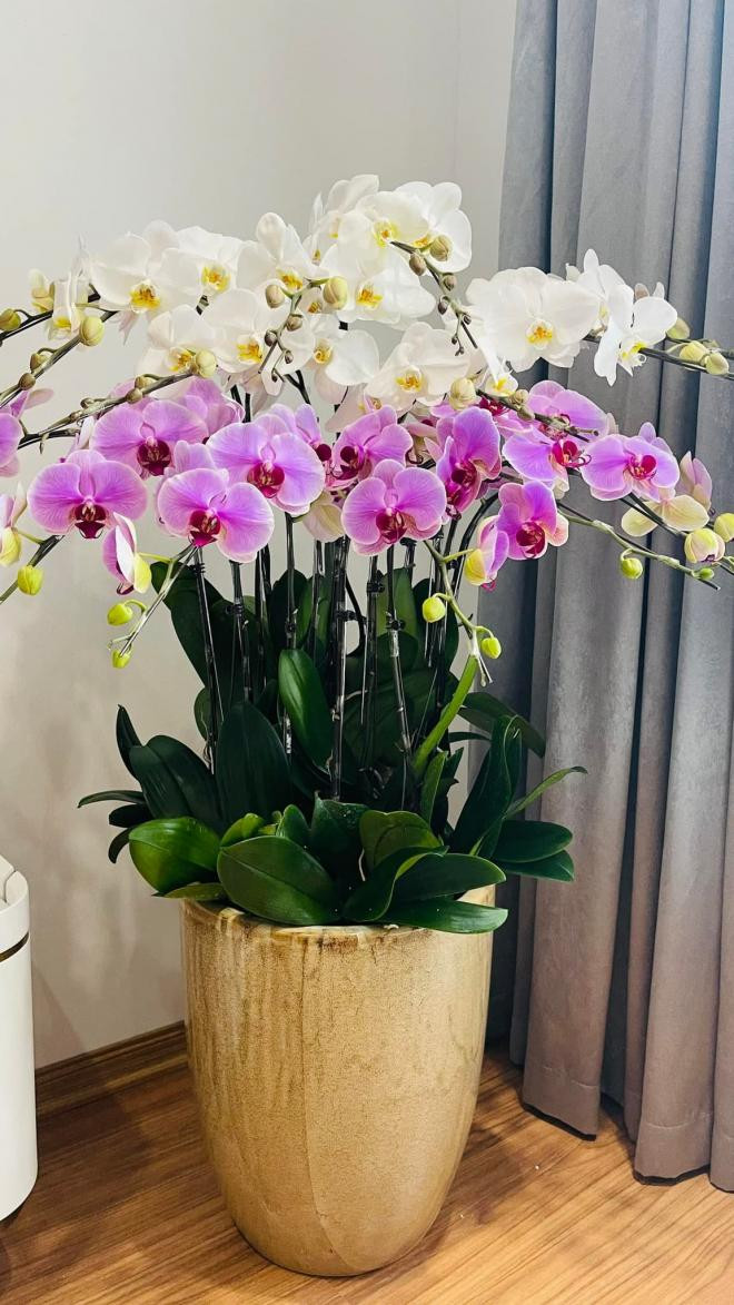 Sau mối tình với người cũ của Hà Hồ, ca sĩ từng bị liệt dây thần kinh số 7 thừa nhận mấy năm ăn chay tụng kinh khoe góc thành tâm-3