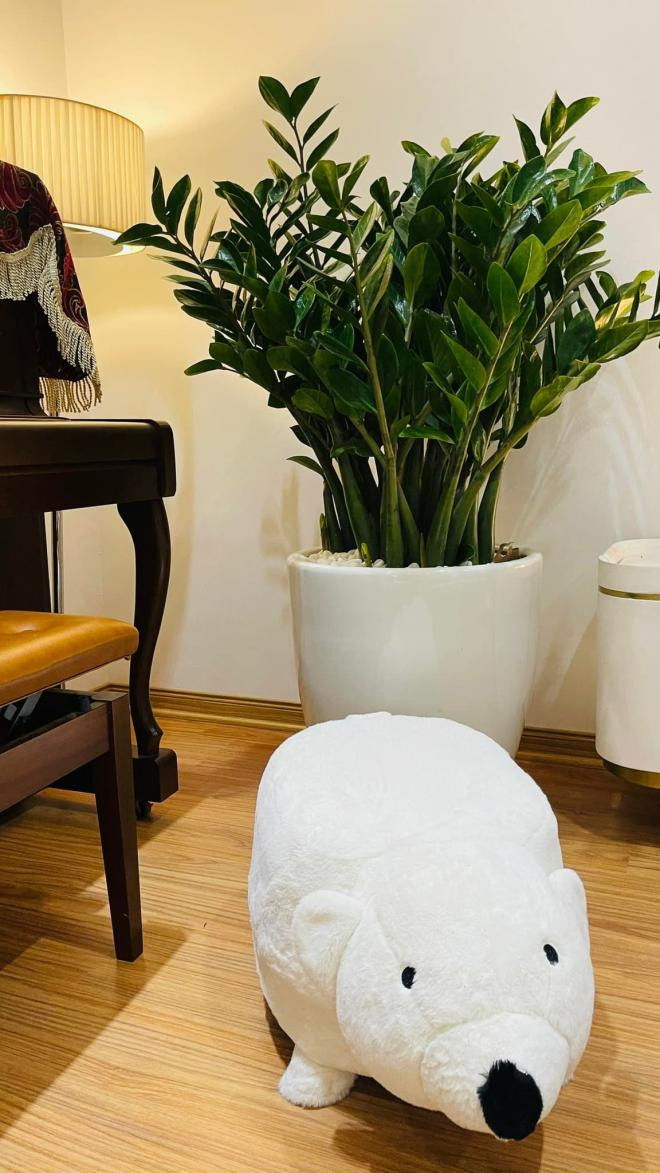 Sau mối tình với người cũ của Hà Hồ, ca sĩ từng bị liệt dây thần kinh số 7 thừa nhận mấy năm ăn chay tụng kinh khoe góc thành tâm-13