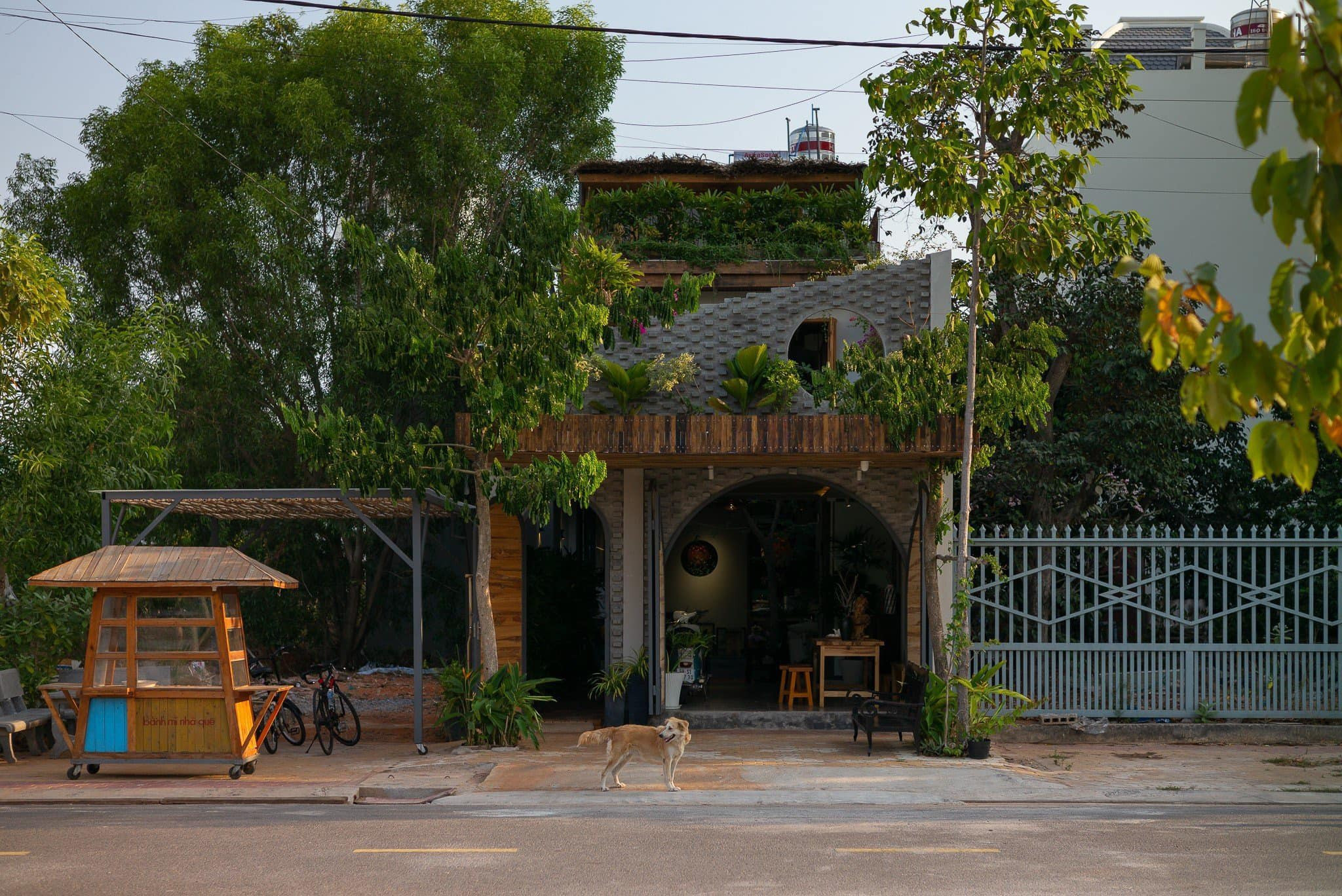 Ngôi nhà Dế Mèn với không gian mát lành nhờ cây xanh, vườn rau sạch trên mái-2