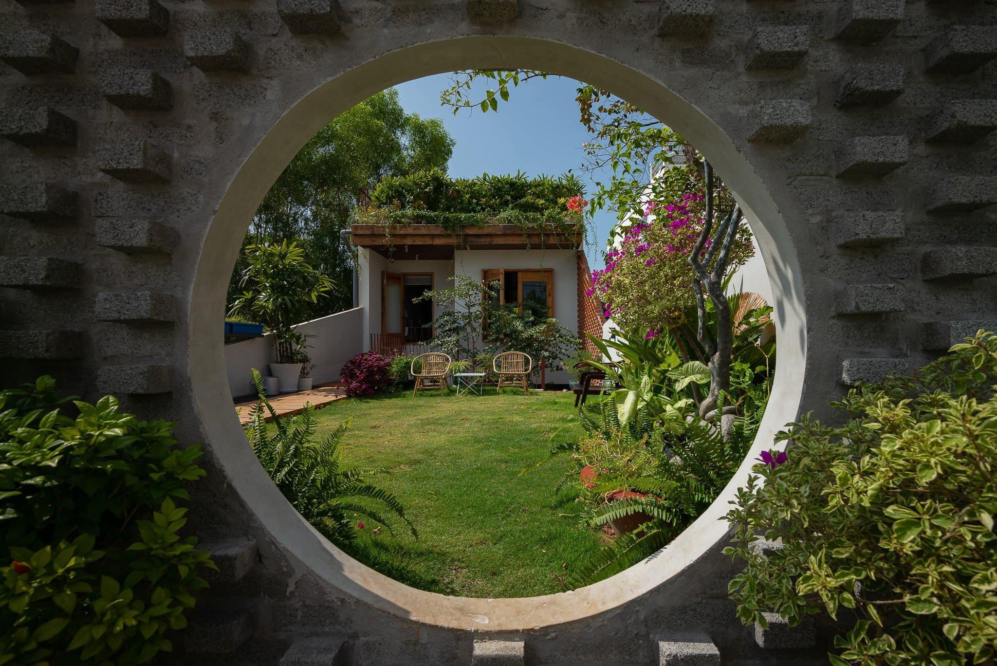 Ngôi nhà Dế Mèn với không gian mát lành nhờ cây xanh, vườn rau sạch trên mái-5