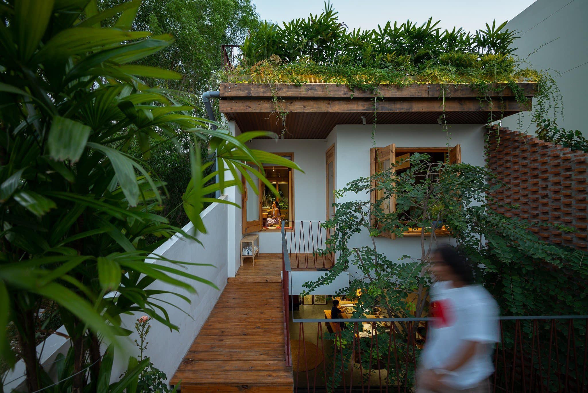 Ngôi nhà Dế Mèn với không gian mát lành nhờ cây xanh, vườn rau sạch trên mái-7