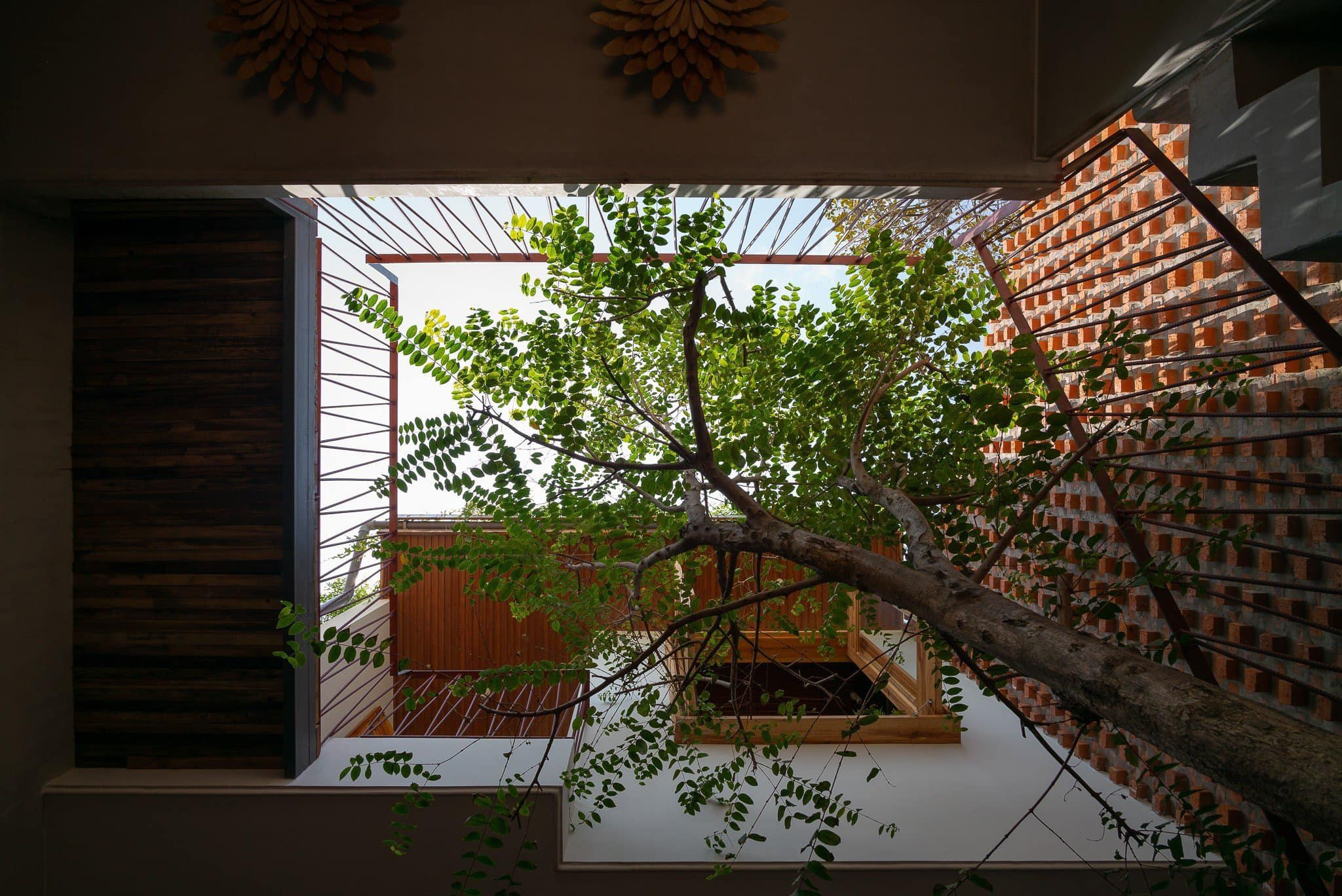Ngôi nhà Dế Mèn với không gian mát lành nhờ cây xanh, vườn rau sạch trên mái-17