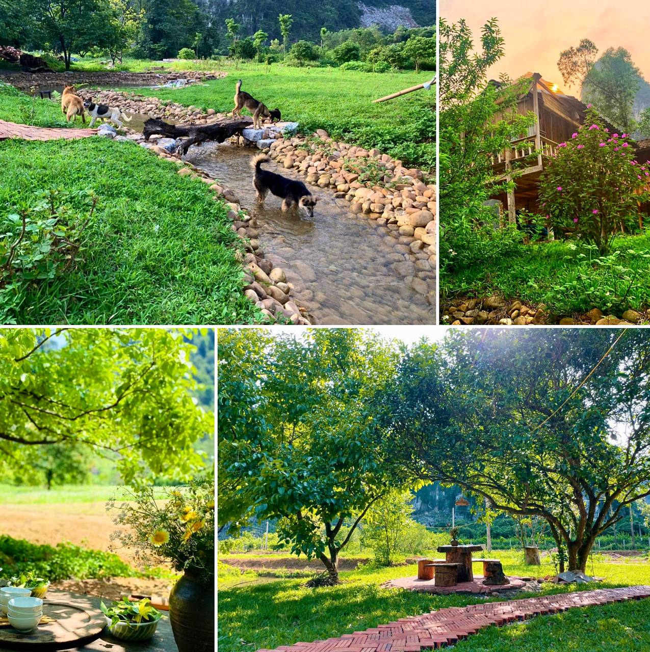 Người phụ nữ dành hơn 1 năm cải tạo ngôi nhà đá giữa thung lũng làm nơi nương náu cho tâm hồn, kết nối những đứa trẻ với thiên nhiên-5