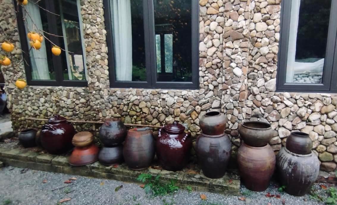 Người phụ nữ dành hơn 1 năm cải tạo ngôi nhà đá giữa thung lũng làm nơi nương náu cho tâm hồn, kết nối những đứa trẻ với thiên nhiên-13