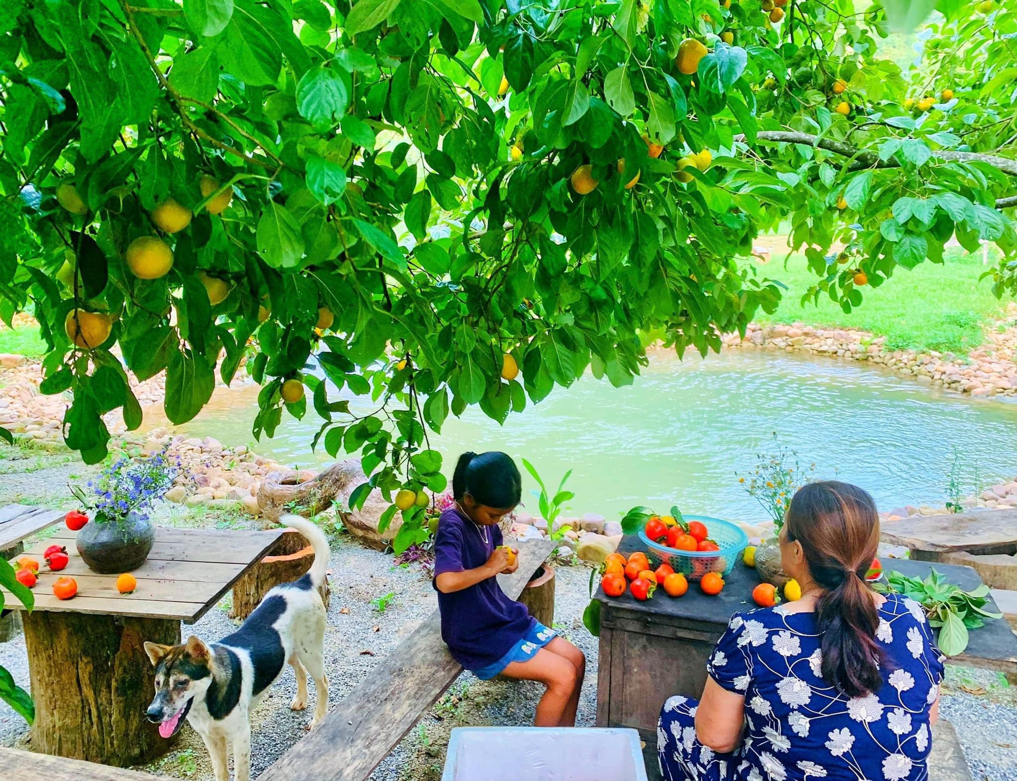 Người phụ nữ dành hơn 1 năm cải tạo ngôi nhà đá giữa thung lũng làm nơi nương náu cho tâm hồn, kết nối những đứa trẻ với thiên nhiên-15