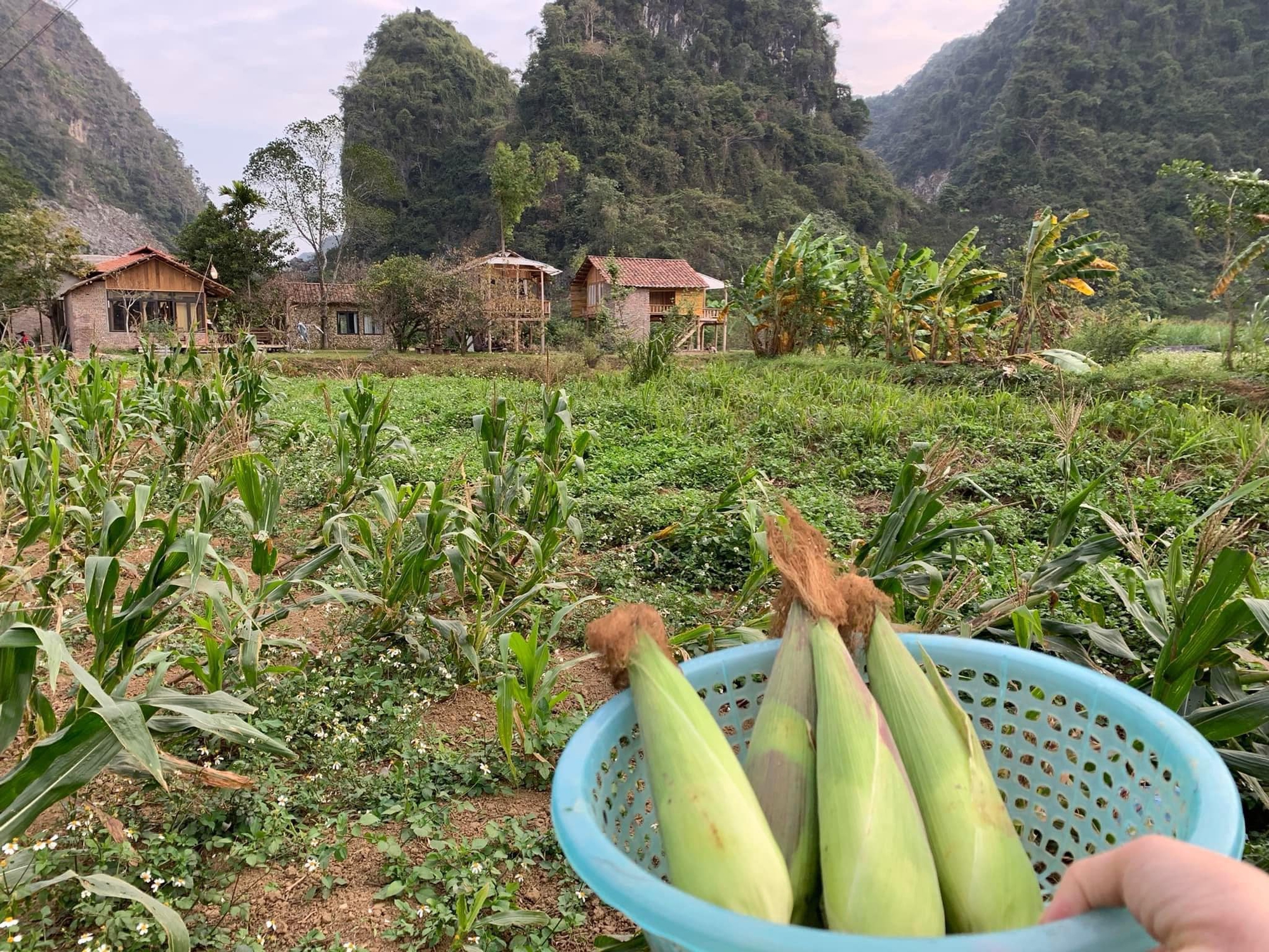 Người phụ nữ dành hơn 1 năm cải tạo ngôi nhà đá giữa thung lũng làm nơi nương náu cho tâm hồn, kết nối những đứa trẻ với thiên nhiên-16