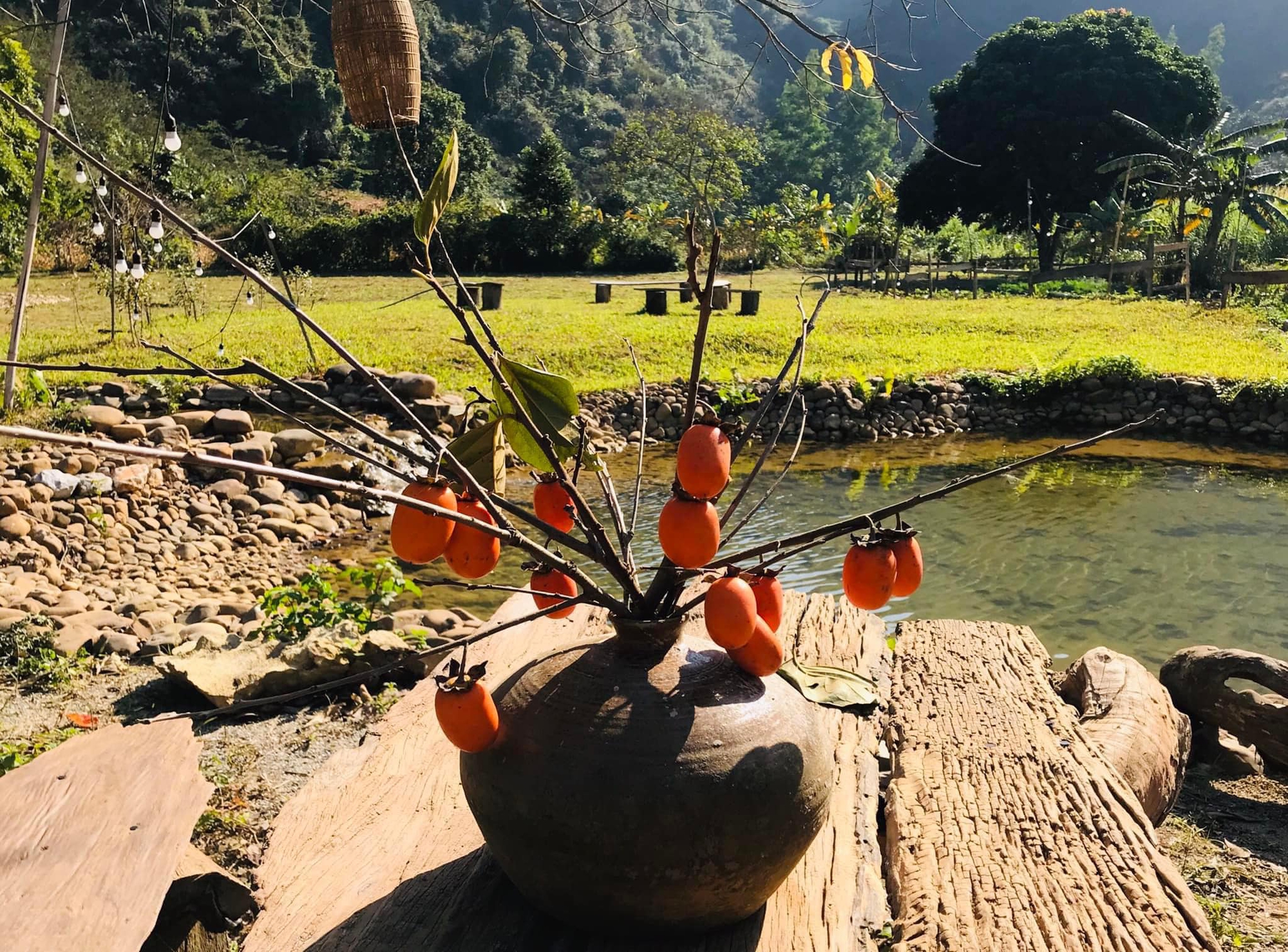 Người phụ nữ dành hơn 1 năm cải tạo ngôi nhà đá giữa thung lũng làm nơi nương náu cho tâm hồn, kết nối những đứa trẻ với thiên nhiên-17