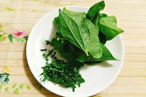 Xôn xao thông tin lá lốt trị khỏi bệnh ung thư trên Tiktok: Chuyên gia nói gì?-3