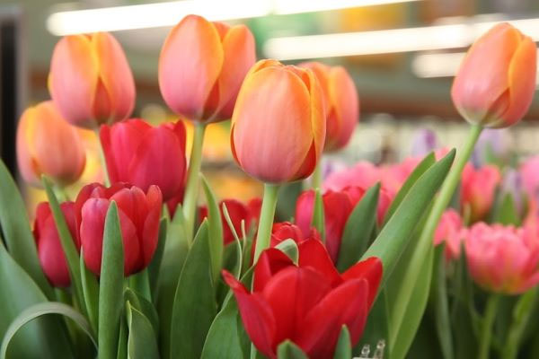 Trẻ sinh vào 5 ngày Âm lịch này, thuở nhỏ ngoan ngoãn, lễ phép, lớn lên giỏi giang, thành tài-1