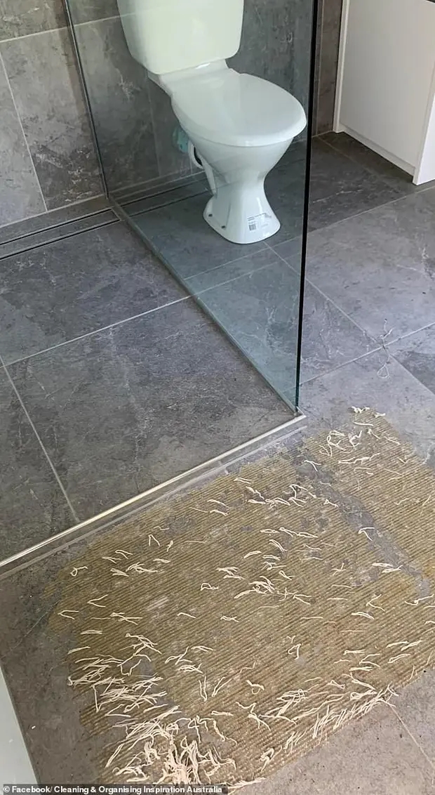 Bà mẹ lên mạng cầu cứu sau khi gặp ác mộng trong nhà tắm-1