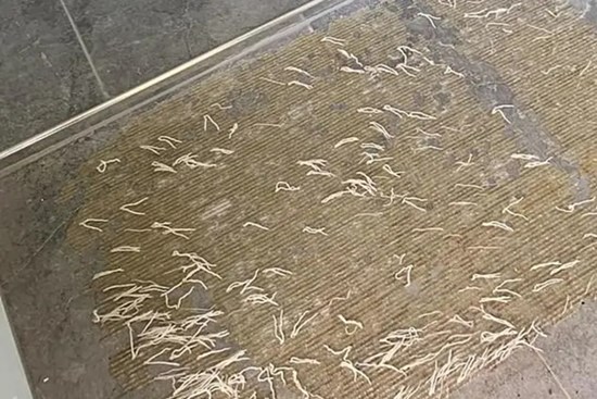 Bà mẹ lên mạng cầu cứu sau khi gặp ''ác mộng'' trong nhà tắm