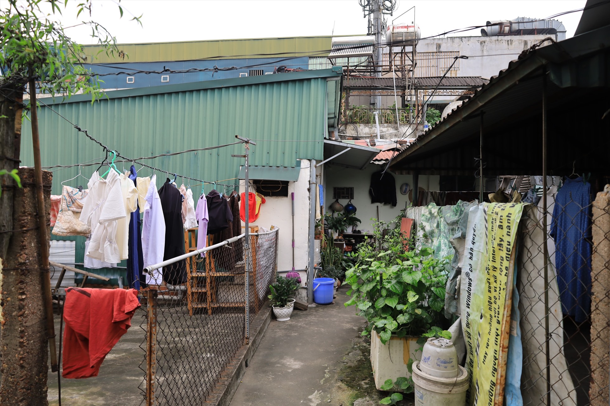 Bên trong khu tập thể tồi tàn có giá đắt đỏ bậc nhất Hà Nội-4