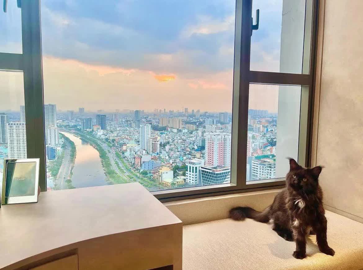 Loá mắt trước căn hộ triệu đô của Trấn Thành, căn phòng yêu thích nhất được đầu tư thế nào?-2