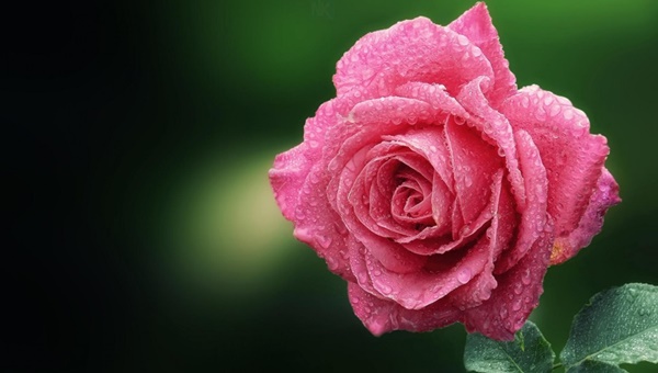 Tử vi ngày 22/4/2023 của 12 cung hoàng đạo: Bạch Dương độc đoán, Nhân Mã nóng vội-4