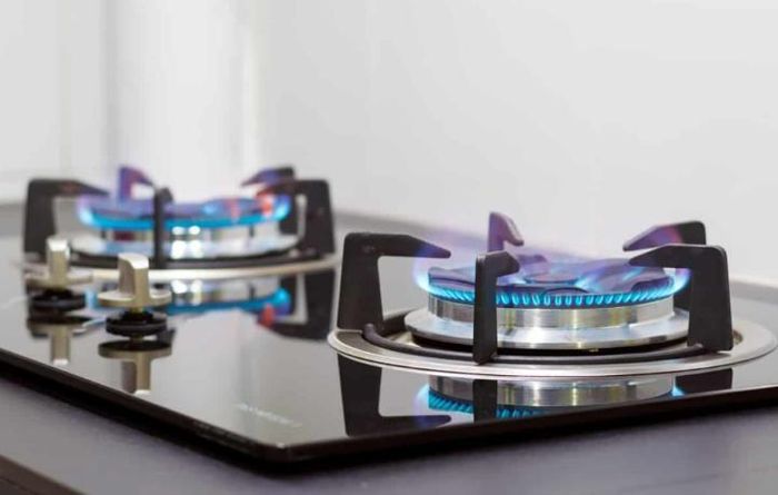 Mẹo hay giúp tiết kiệm gas khi nấu ăn-1