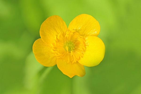 Người có giờ sinh này chăm chỉ, lạc quan, sớm cất cánh nhanh trong sự nghiệp, mỗi ngày đều vui vẻ-5