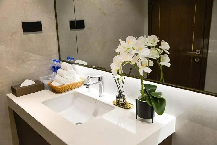 6 cây cảnh đánh bay mùi hôi, trồng trong phòng tắm tươi đẹp, tốt cho sức khỏe-12